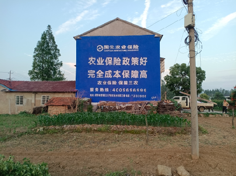 原阳县墙体广告为何受追捧？